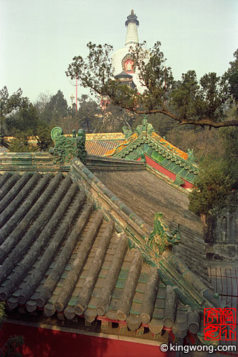 ú԰ Yiheyuan - Rooftops