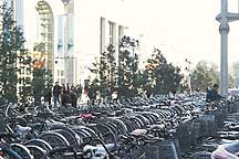 Picture of 北京市 -- 自行车 Beijing City -- bicycles