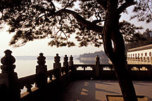 Picture of 昆明湖边一角 A view of the Kunming Lake