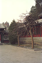 Picture of 颐和园 Yiheyuan