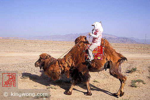  - Ů Jiayuguan (Jiayu Pass) -  Camel and Woman
