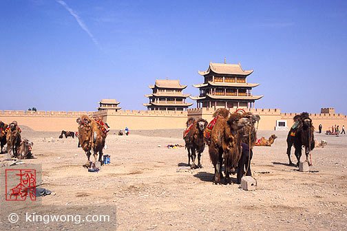 - , Jiayuguan (Jiayu Pass) - Camels and Horses
