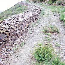 Picture of 秦 Qin Wall