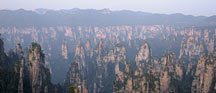 天子山图 Tianzi Shan Mountains image