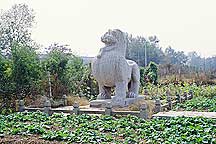 Picture of 南京六朝石刻--狮子 Nanjing Six Dynasties Stone Beasts--Lio