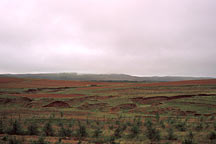 Picture of 呼市至希拉穆仁 From Huhehaote City to Xilamuren Grassland