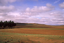 Picture of 呼市至希拉穆仁 From Huhehaote City to Xilamuren Grassland