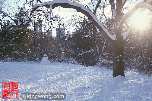 ŦԼ빫԰ New York City Central Park