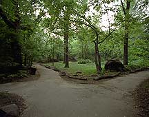 Picture of ŦԼ빫԰ New York City Central Park