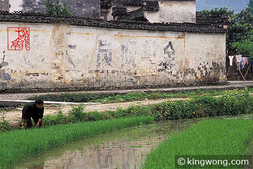 չ´ Anhui's Guanlu village