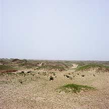 Picture of ߺγ֮Ŷǣ Great Wall and Sand Dunes near Dingbian