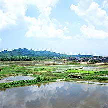 Picture of 㶫  Duhu, Guangdong Province