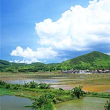 Duhu, Guangdong Province,Sample2006