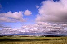 Picture of ͺϣʲԭ Hohhot to Xilamuren Grassland