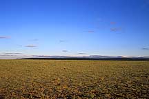 Picture of ͺϣʲԭ Hohhot to Xilamuren Grassland