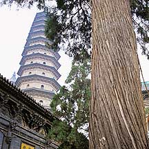 Taiyuan City - Twin Pagoda,Sample2006