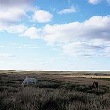 Picture of ϣʲԭ Xilamuren Grassland