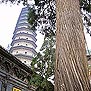 ̫ԭ ˫ Taiyuan City - Twin Pagoda