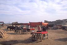 Picture of 高昌故城 - 驴车 Gaochang Ruins - Donkey Cart