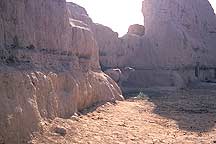 Picture of 高昌故城 - 骆驼 Gaochang Ruins - Camel