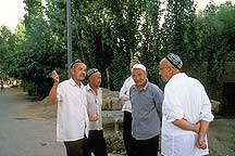 Picture of 吐鲁番 - 二堡乡 Tulufan (Turfan) - Erabaoxiang folks