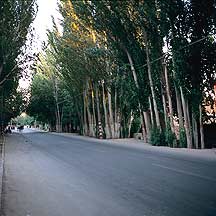 Picture of ³ - ֵ Tulufan (Turfan) - Erabaoxiang road