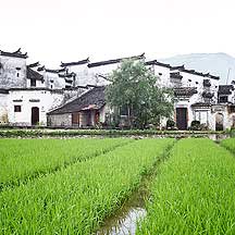 关麓 Guanlu village picture