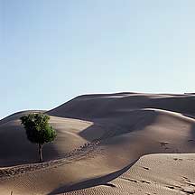 响沙湾 Picture of Xiangshawan Desert Dunes 